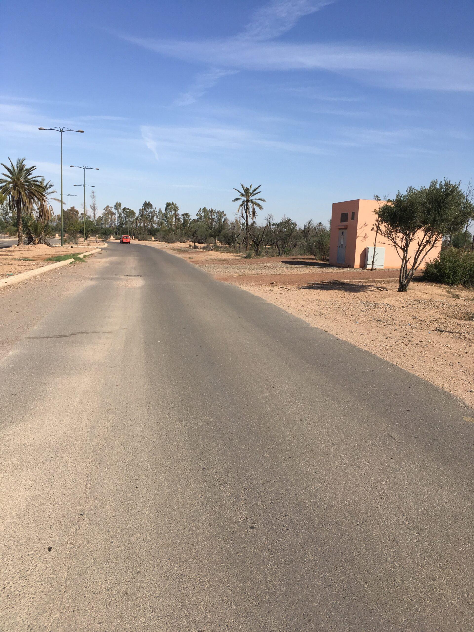 66E6DB58 4B00 42BB B803 64AC62B10394 Scaled 66E6DB58 4B00 42BB B803 64AC62B10394 Scaled