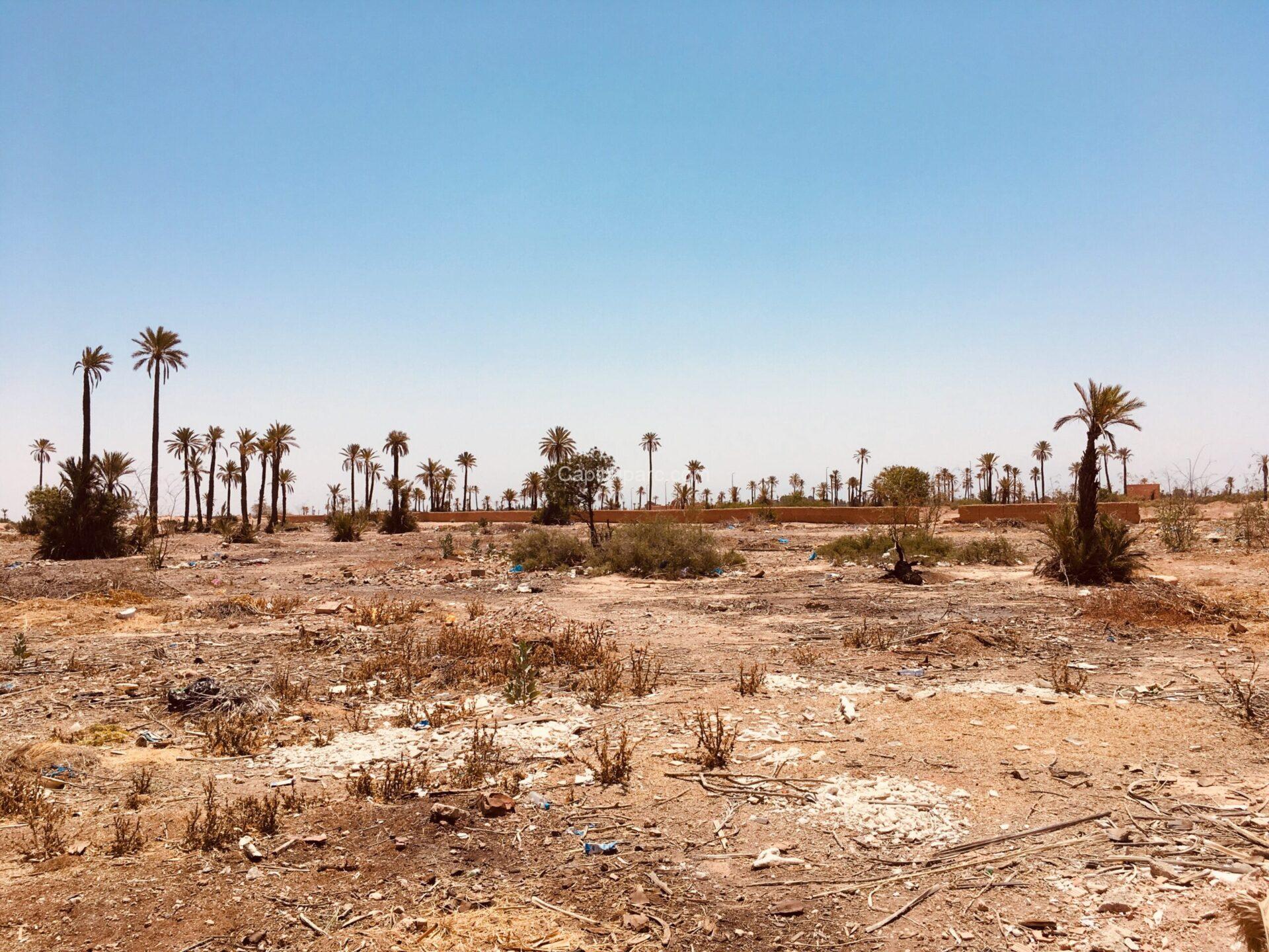 7465DC42 AB7A 4151 BD35 29D40CE0F4AD Scaled