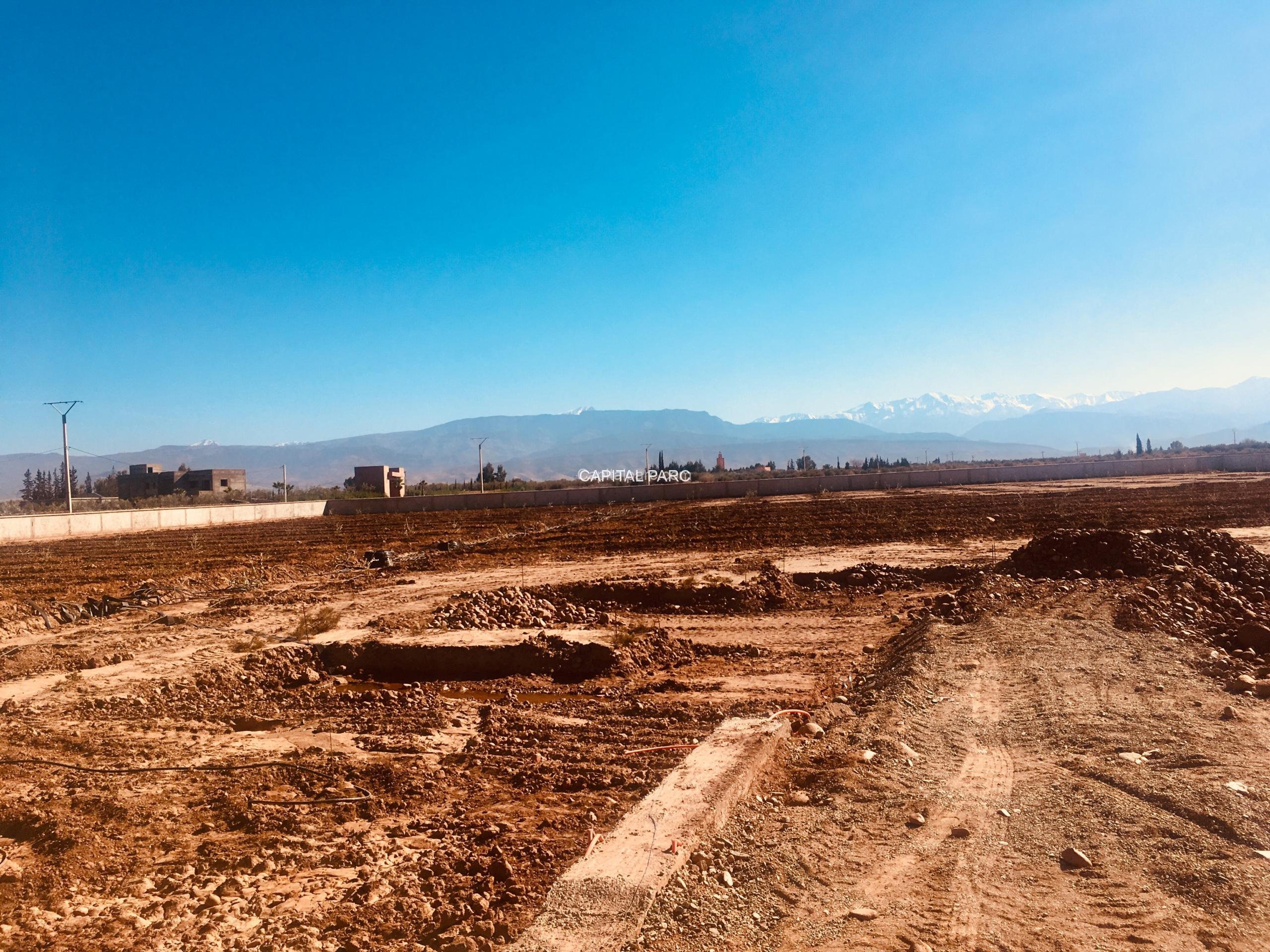 12CFCD41 1417 4D45 98F8 E30AF6F45B85 Scaled