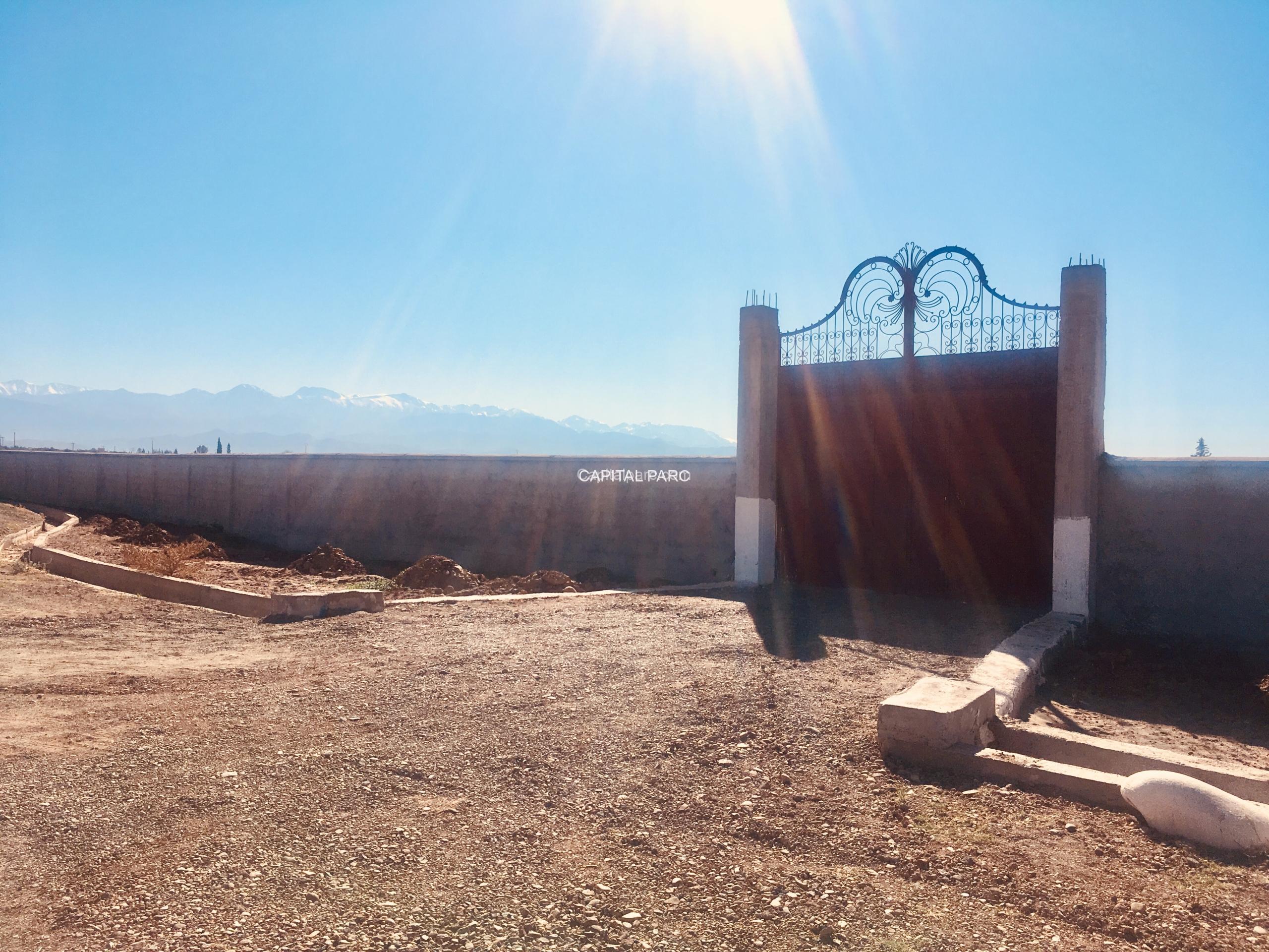 1DF134DA 84F6 4612 B8BD 4348E7242539 Scaled