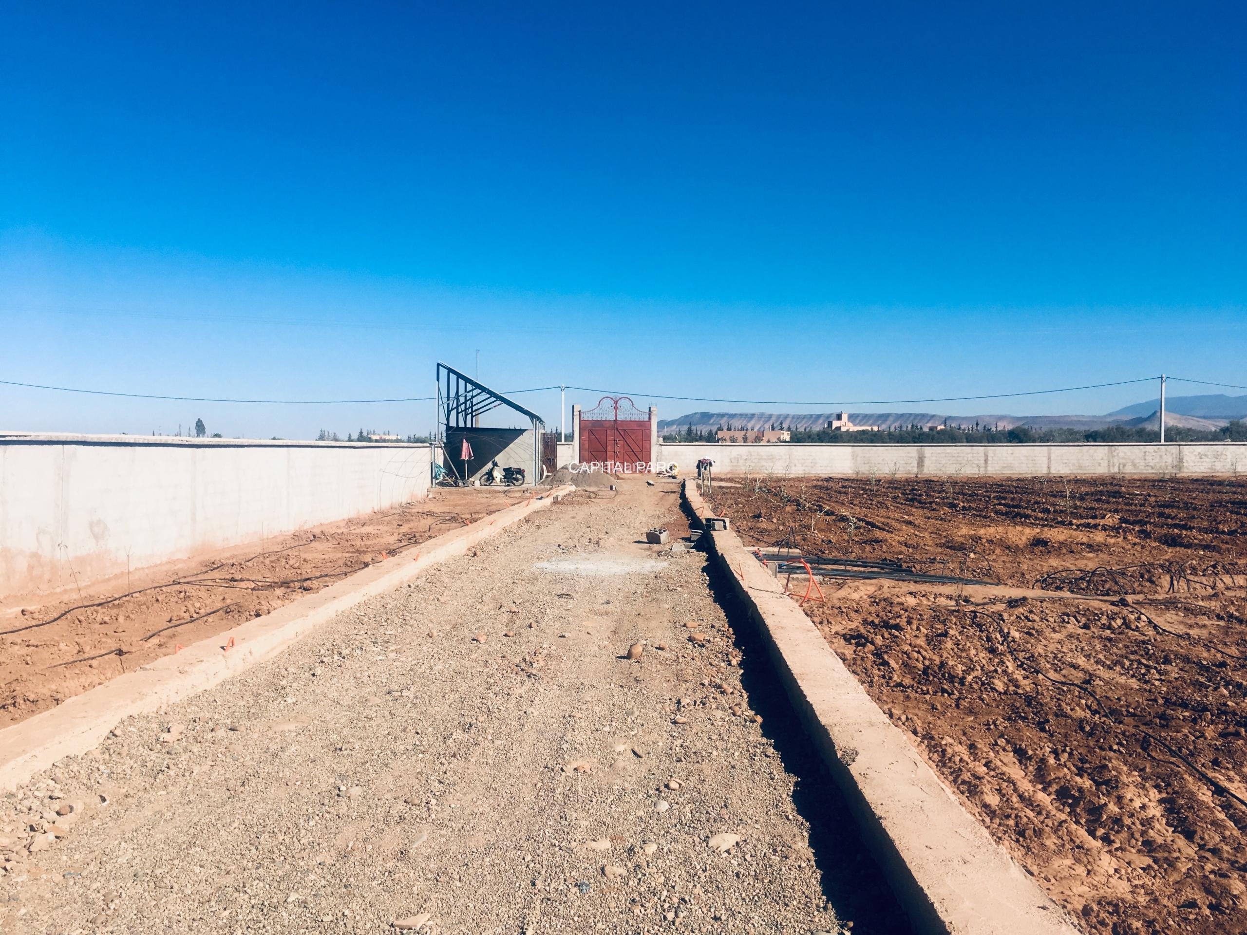 99E1CD79 2DDA 4A8F B660 5B97D6DACA78 Scaled