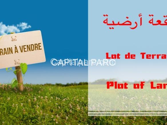 C4ED4456 E01F 4BF6 8E89 F31D81F6D73D