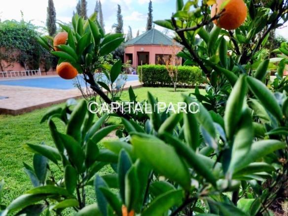 60B15886 B6B4 4969 91FE D39B5D9D82A3