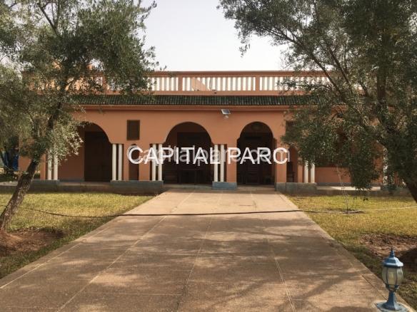 1BA223D9 4FC5 49DB 9B33 2BD14C127C96 Scaled