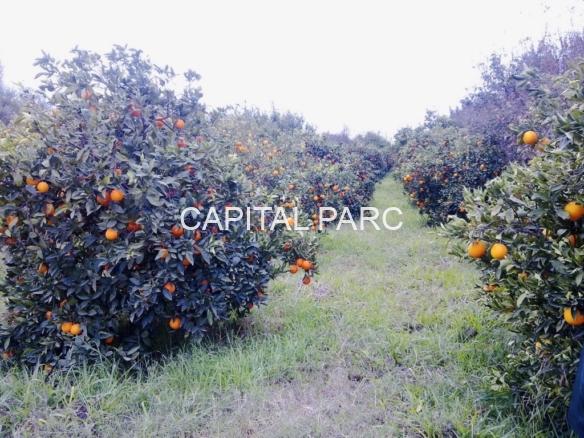 209bfdea 4e18 4115 82ee Cc2e54341d3e