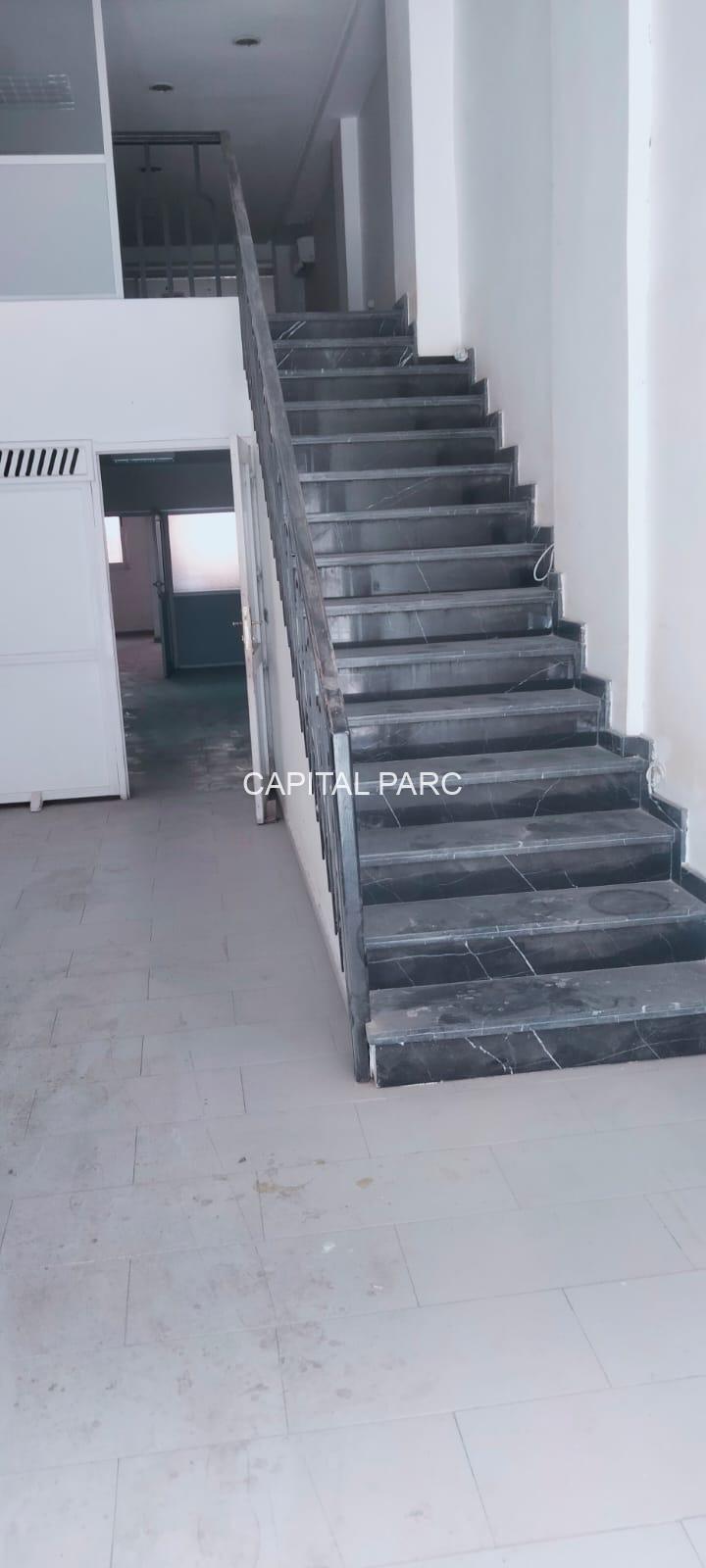 31167fa3 3352 43e7 8898 93d420e3afb2