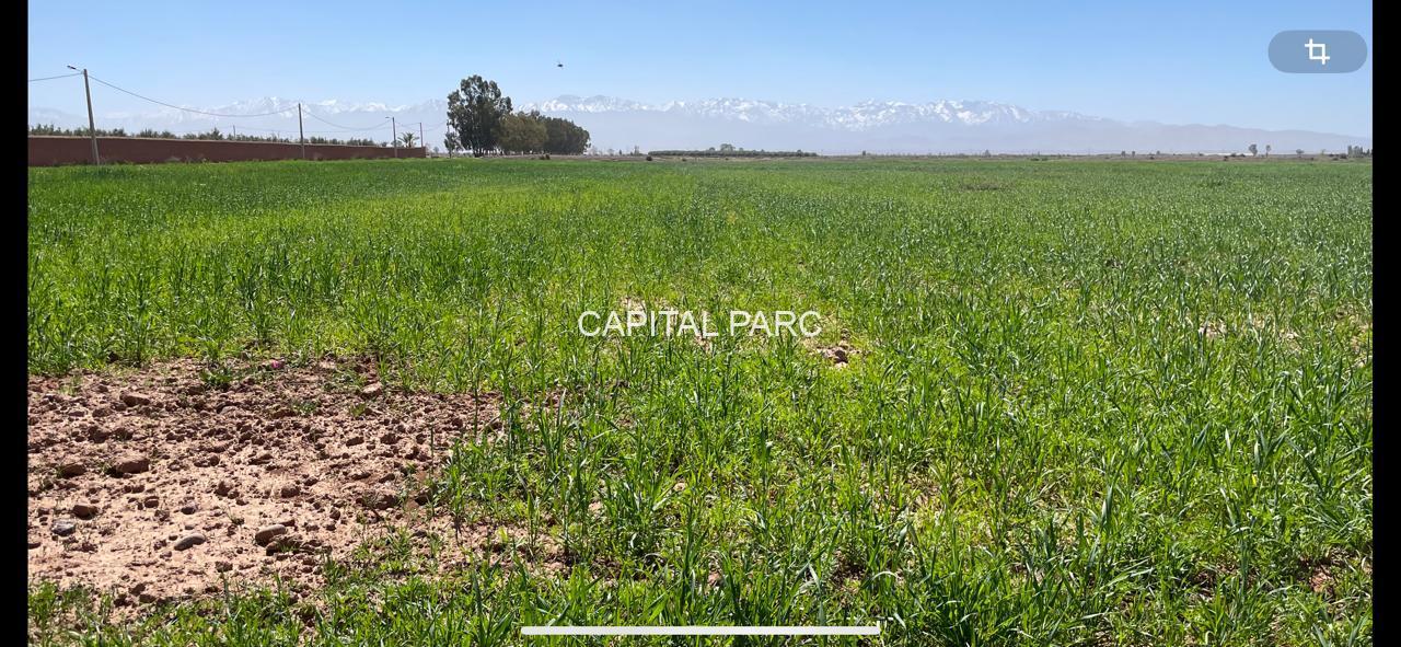 5efb7586 8ddd 426f 9a4b 6c1444551421