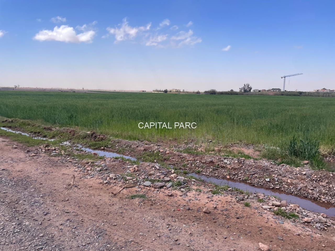 9f041e02 4eba 461f A0e1 3cc12a5b2d8a