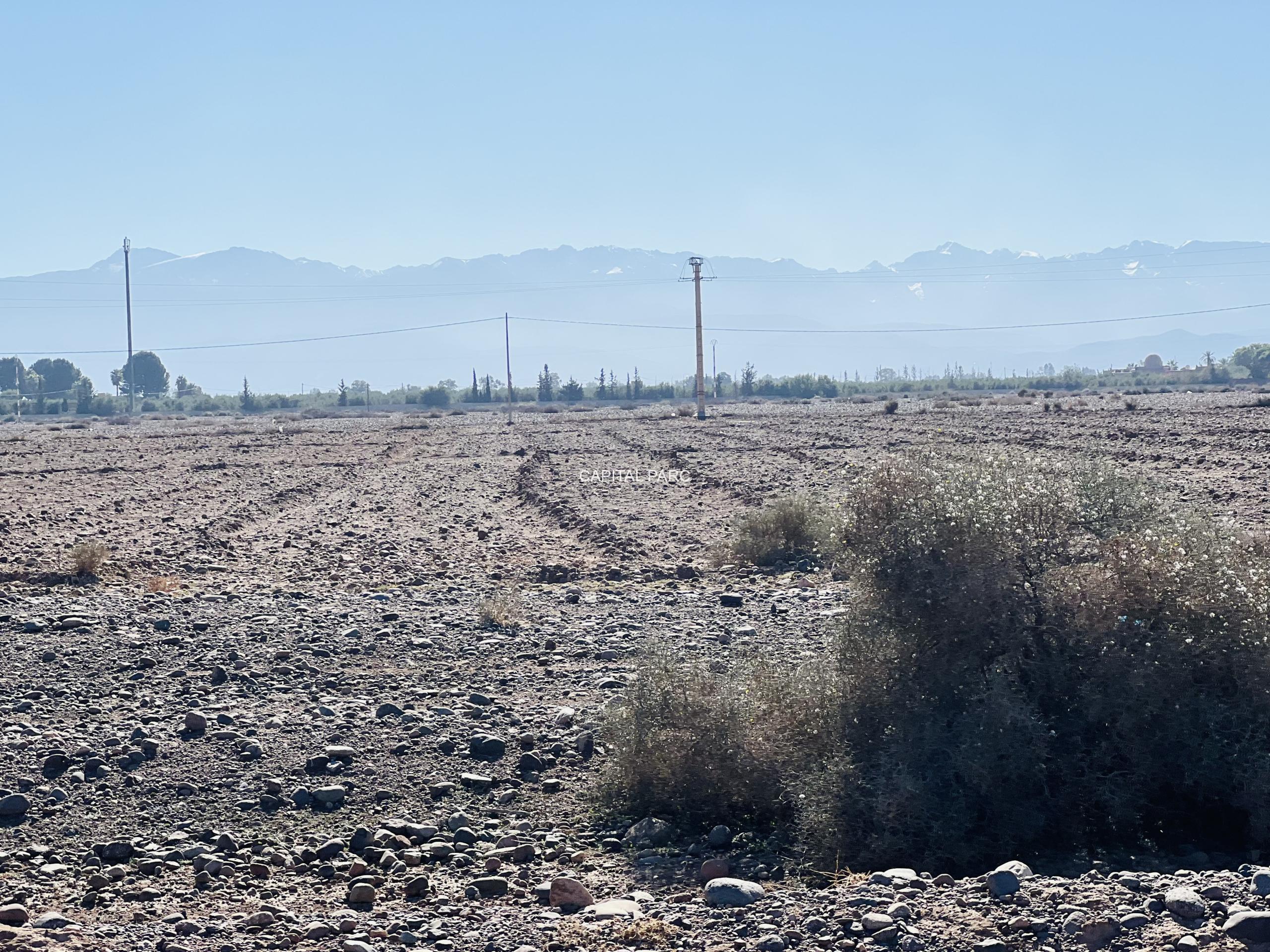 IMG_5907 Scaled IMG_5907 Scaled