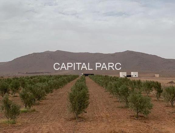 Df39b765 0d39 4b2e 86e3 F98dce272d34