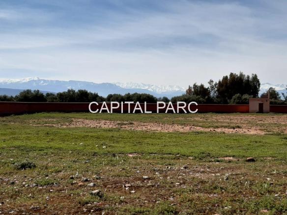 745765bc 6bb0 4a26 8d20 Df7e5a62c4f8