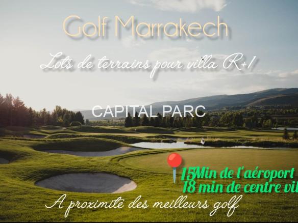 D89fba70 B449 4158 8b70 560e71367e52