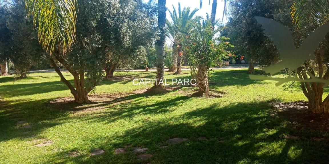 020a5bd8 E3a5 4a41 94b3 A4793d71a19f