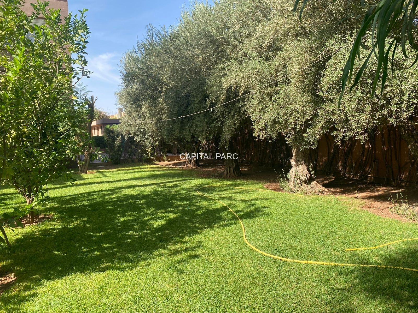 138dde18 3732 48d2 91e6 F98eb4b54c20