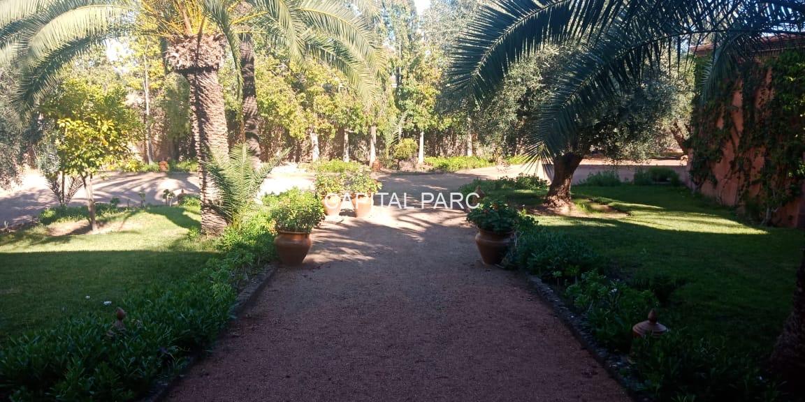 1f54e45d D3c6 429a A4c9 Dd5e04fca1ef