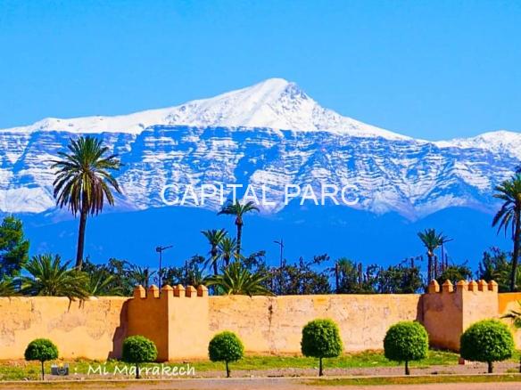 337f96f1 Bc00 4358 A51a 6b4e455f341d