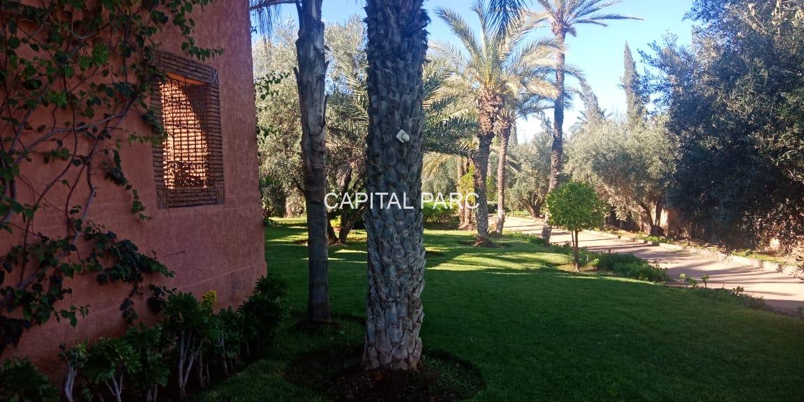 3ab97dee B139 4cd8 B679 75c89e5f718b