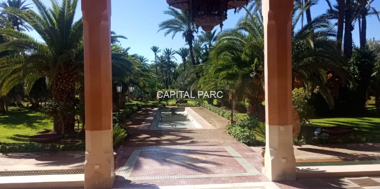 74dcc619 3db0 48a1 Aa6e F86ef58c29e5