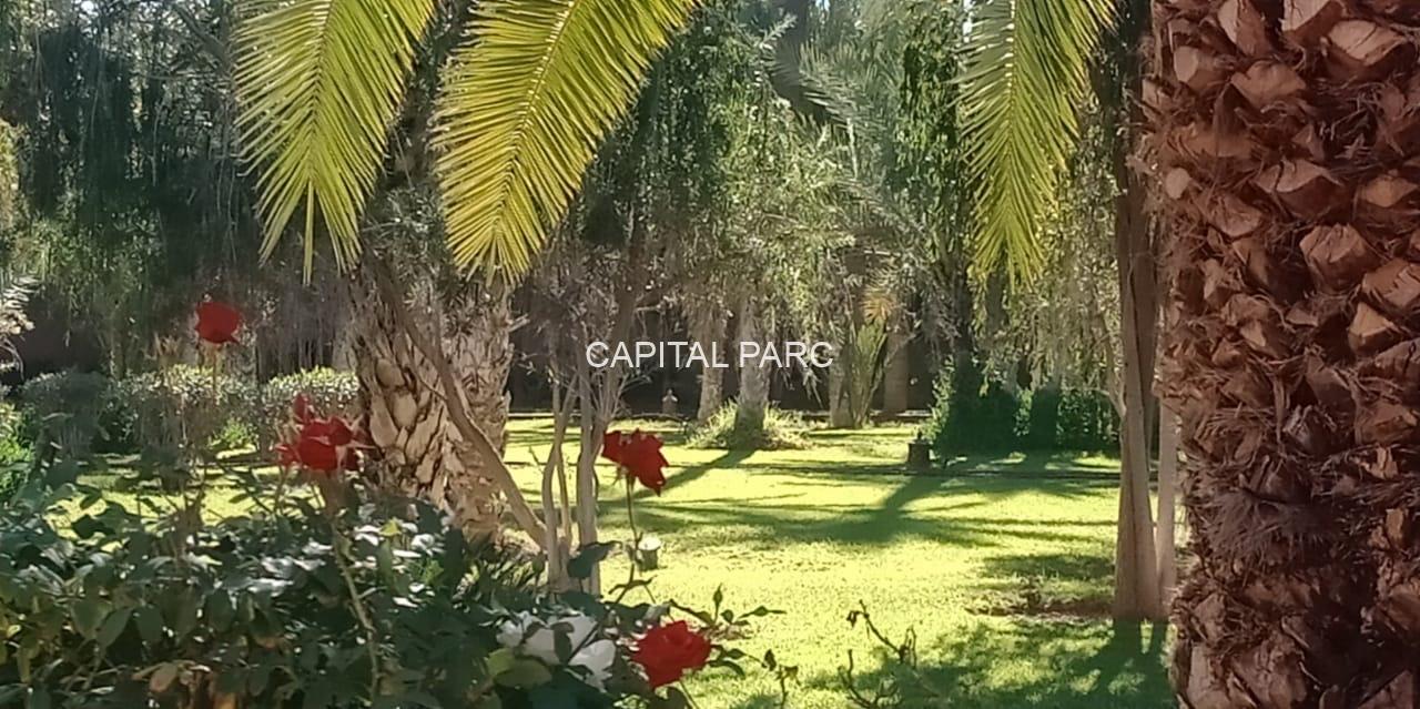 Eb25fa3f 9e35 4920 9d75 Dcdac165b0f7