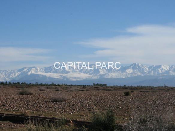 D6ad28a2 Bb22 4e35 Bbe4 Ed50369da54f