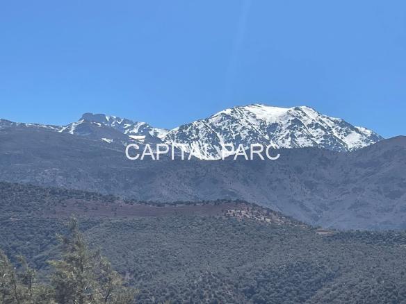 B9e34c66 7134 4bfe 9056 Cb01f086209c