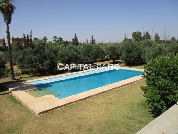 17b66e7b 26c5 4adf 95f7 341f397618a1