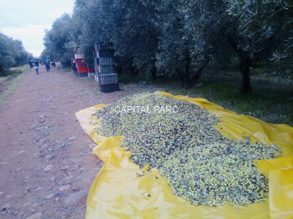 18376362 5a86 448f 8313 b702c9f8182e