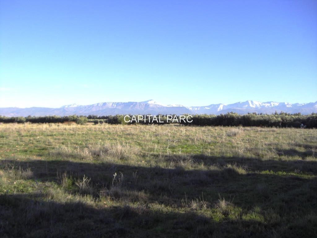 193919d1 91b6 4261 9bb8 c9592e2b8d68