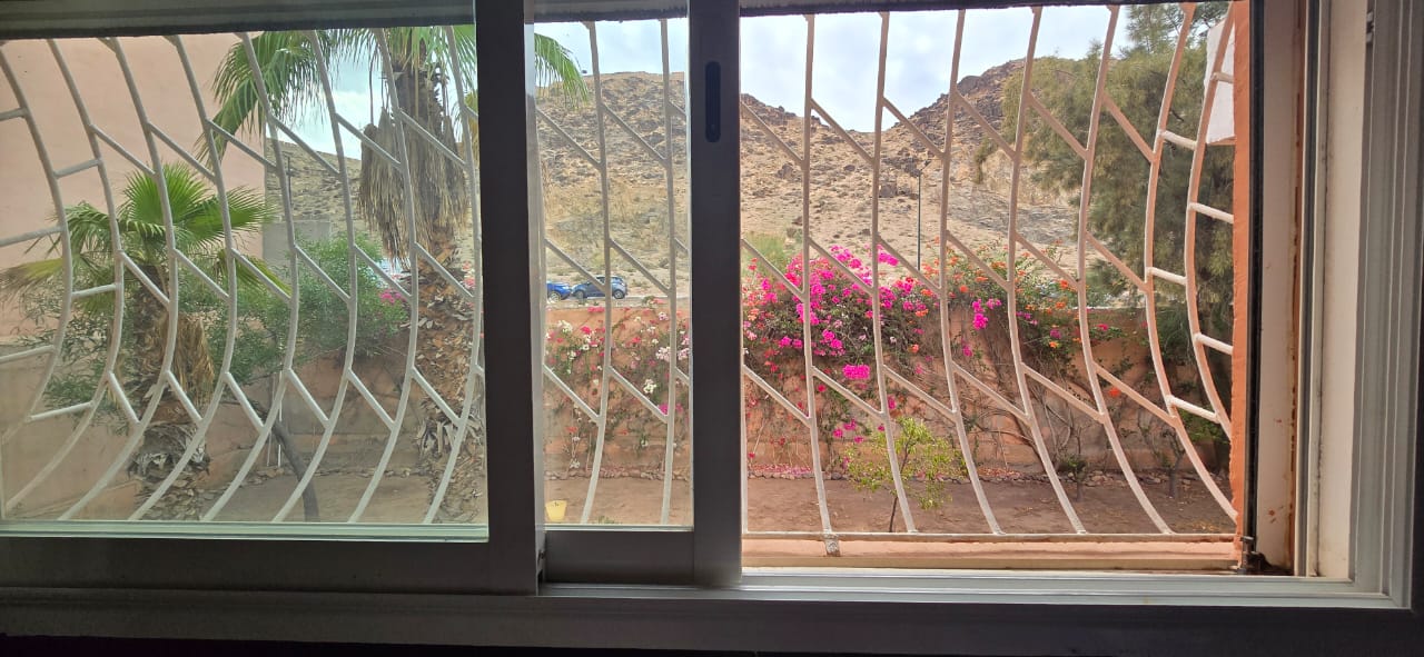 1d77aa8c cf99 4569 b195 2bee5c5605fd