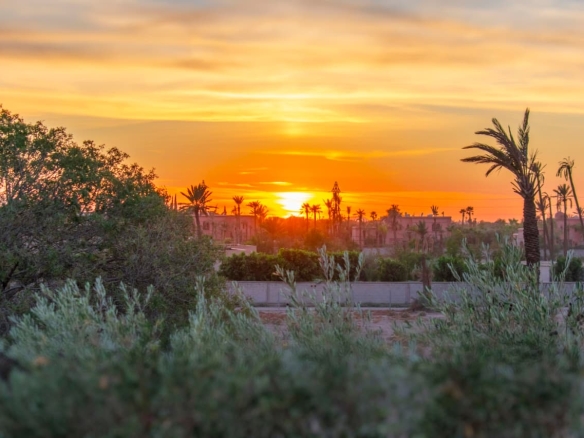 28e89337 b7e9 4cea af17 ae2974ae603e