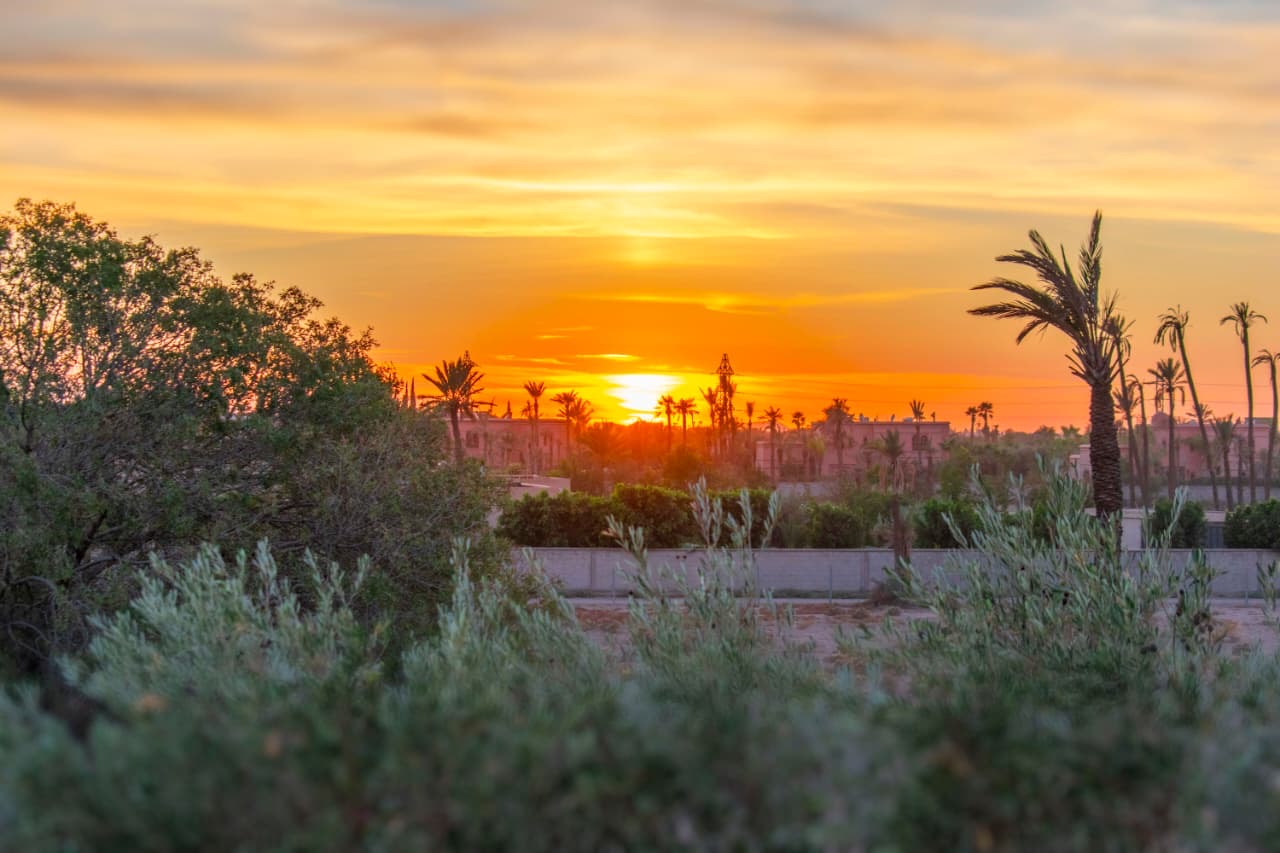 28e89337 b7e9 4cea af17 ae2974ae603e