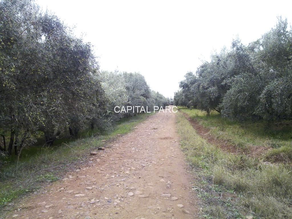 2d6501a5 7b0d 45b7 923a 0ac352117af8