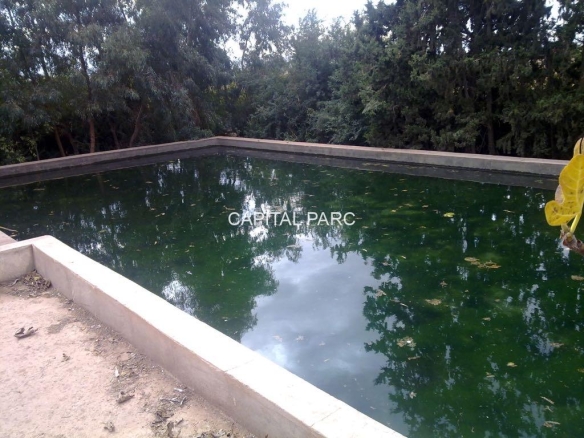 317c6320 6a6c 4850 8aaf 9b8968439972