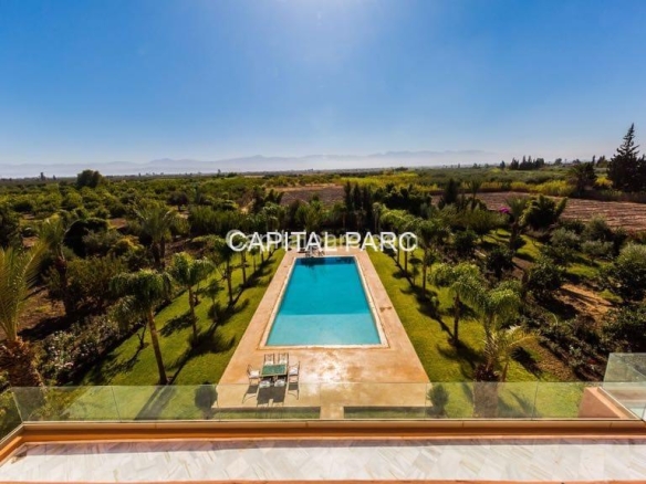 31d43da6 011b 497a 9921 4802002eb53a