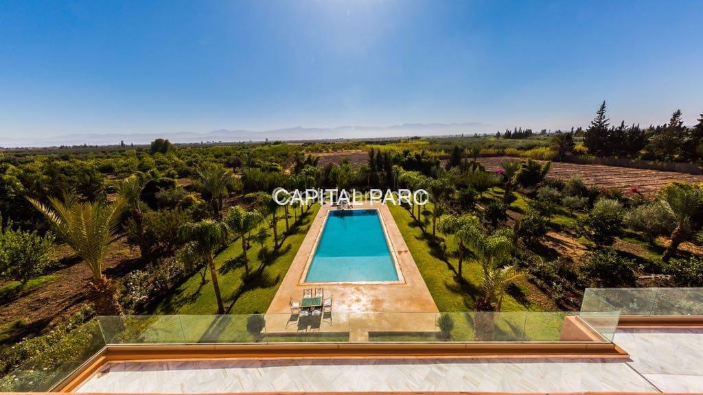 31d43da6 011b 497a 9921 4802002eb53a