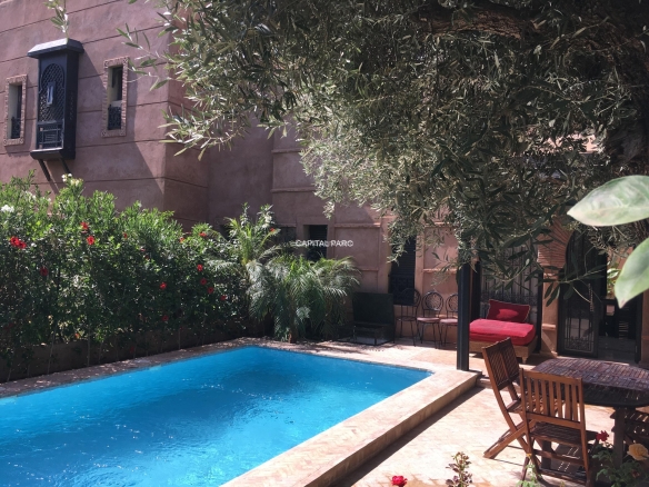 45162840 edeb 4109 a177 8fbee9616085 scaled