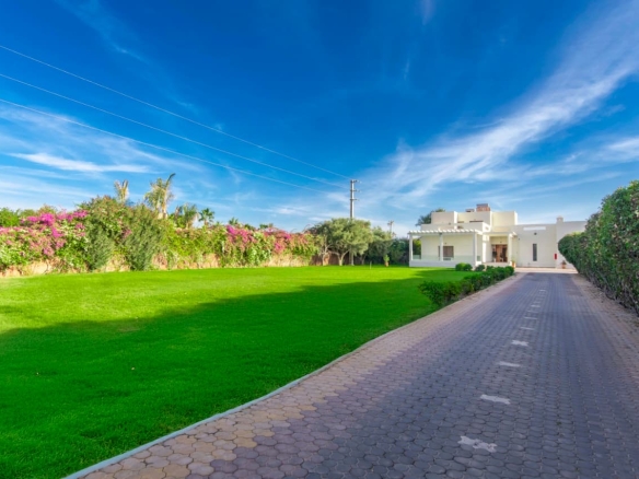 8f88828d f107 4719 b4fc 11ba5780d778