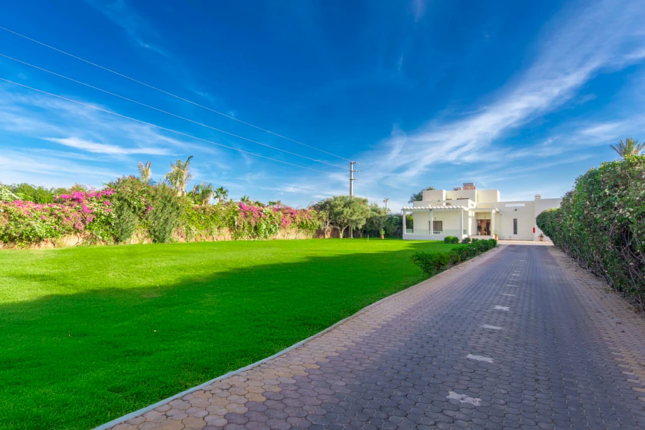 8f88828d f107 4719 b4fc 11ba5780d778