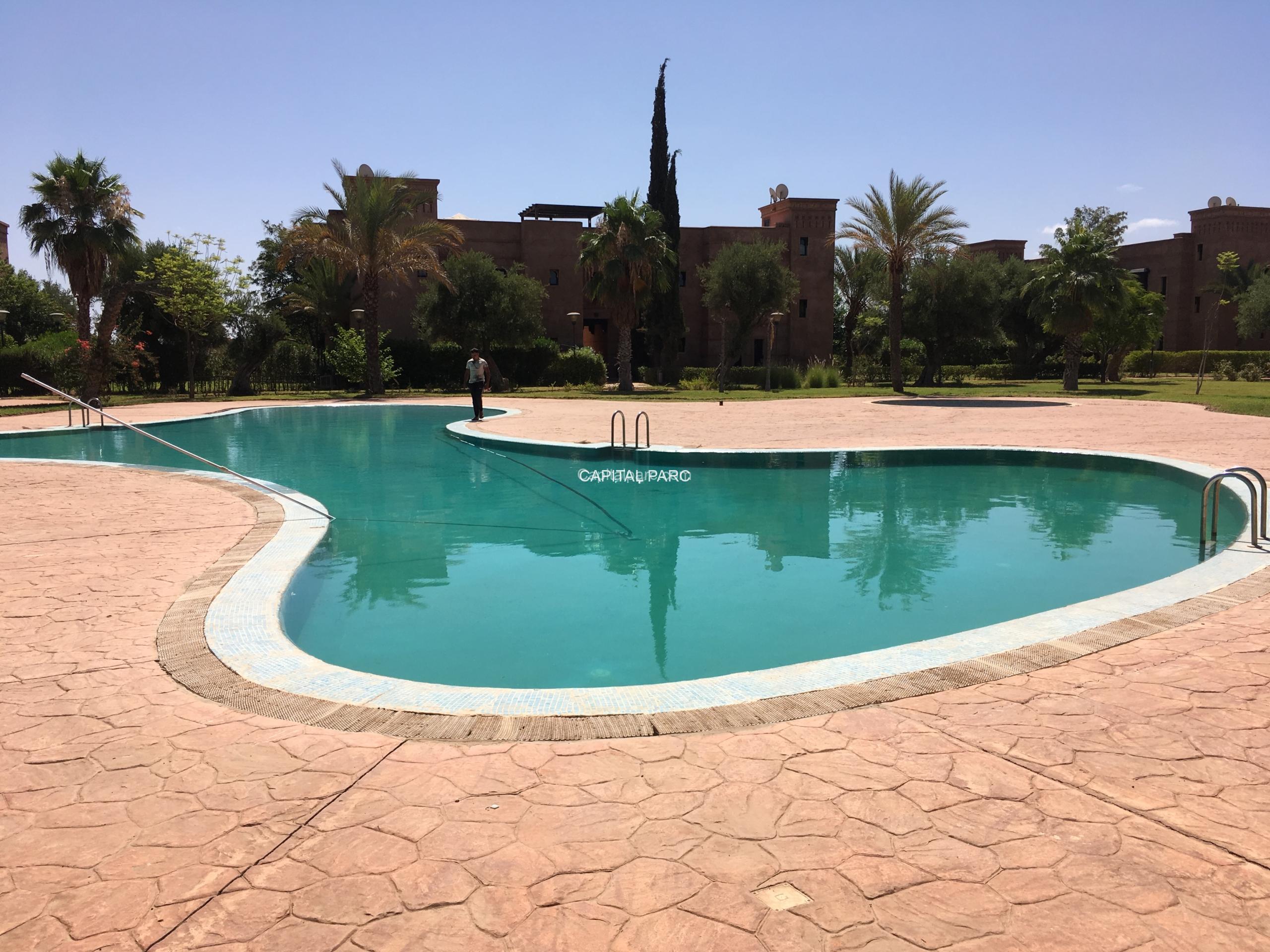 b48aafe2 204b 4232 990f f812d093cb9e scaled