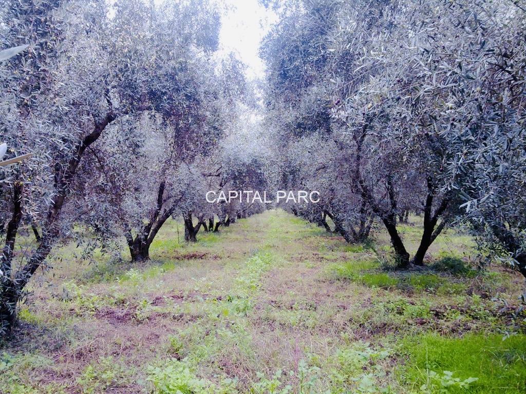 bcb76e6b 21dd 4ad2 9da9 7549af321f93