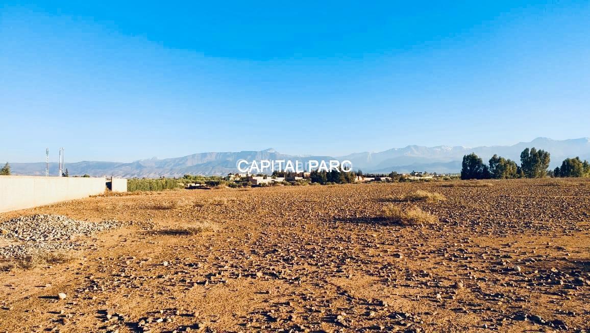 capitalparc_beau-terrain-bien-place_24976