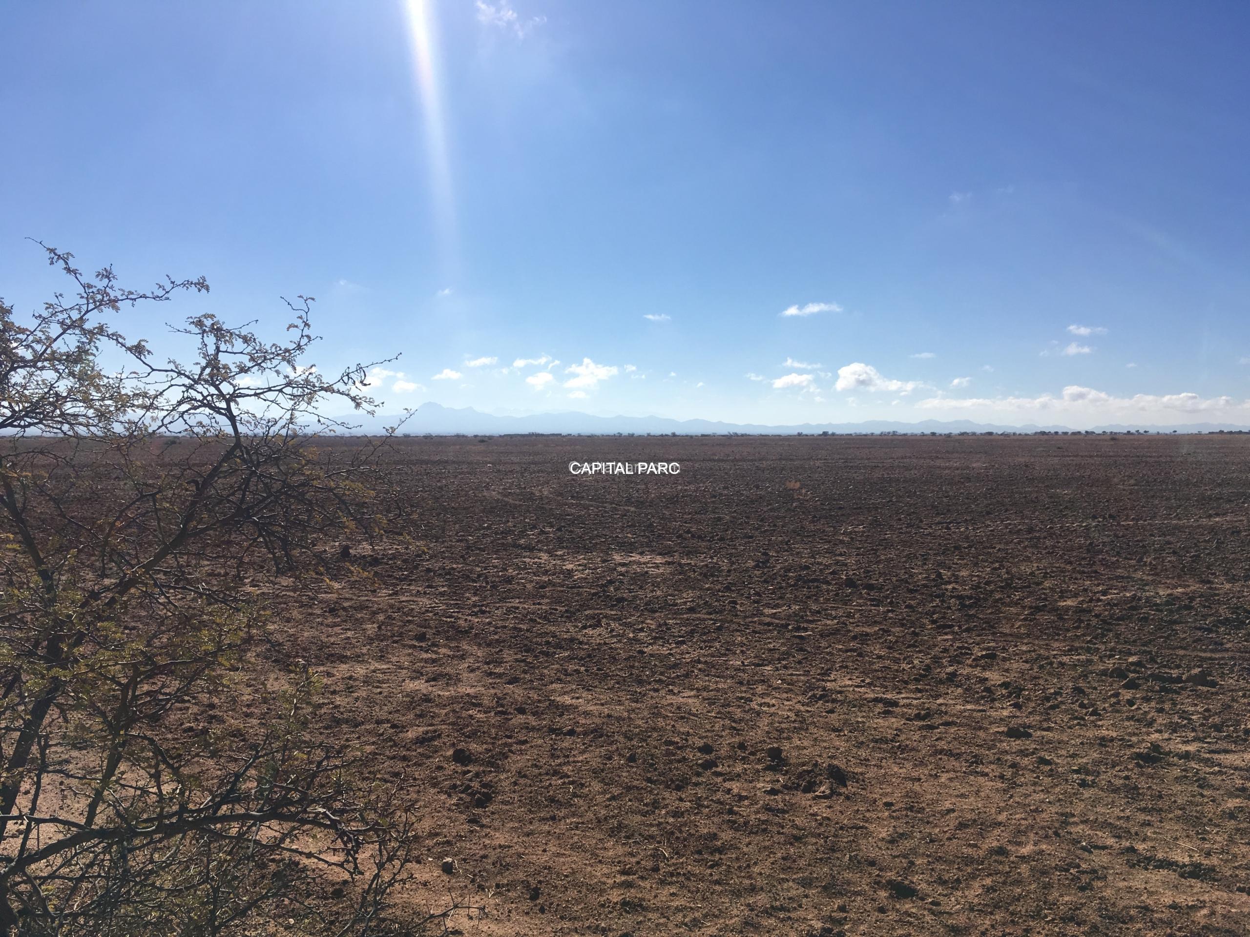 capitalparc_terrain-agricole-45-ha_25214