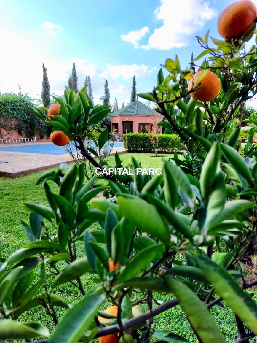 capitalparc_tres-belle-villa-orientale_25832
