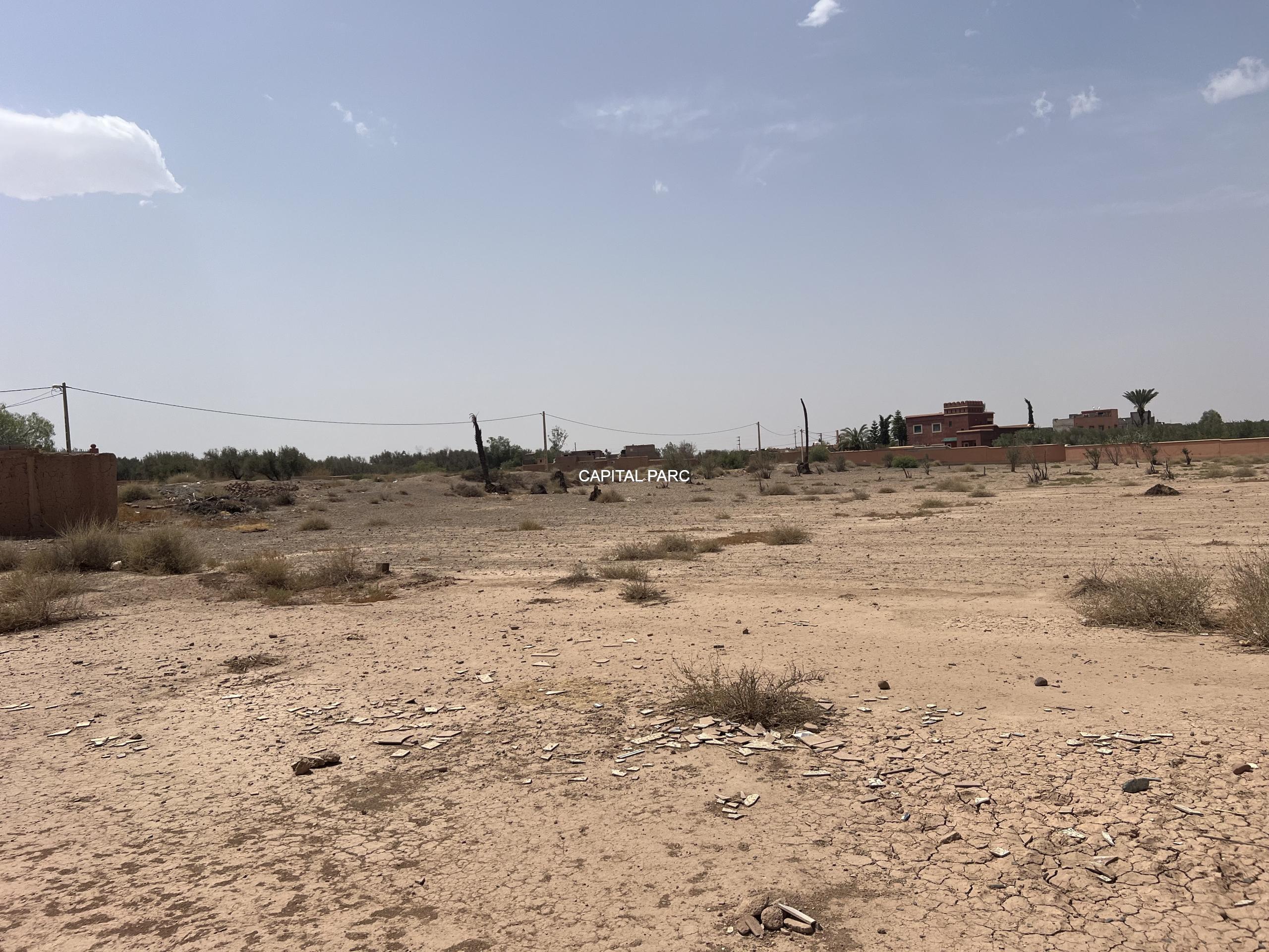 capitalparc_vente-terrain-1070-m-bab-atlas_32743