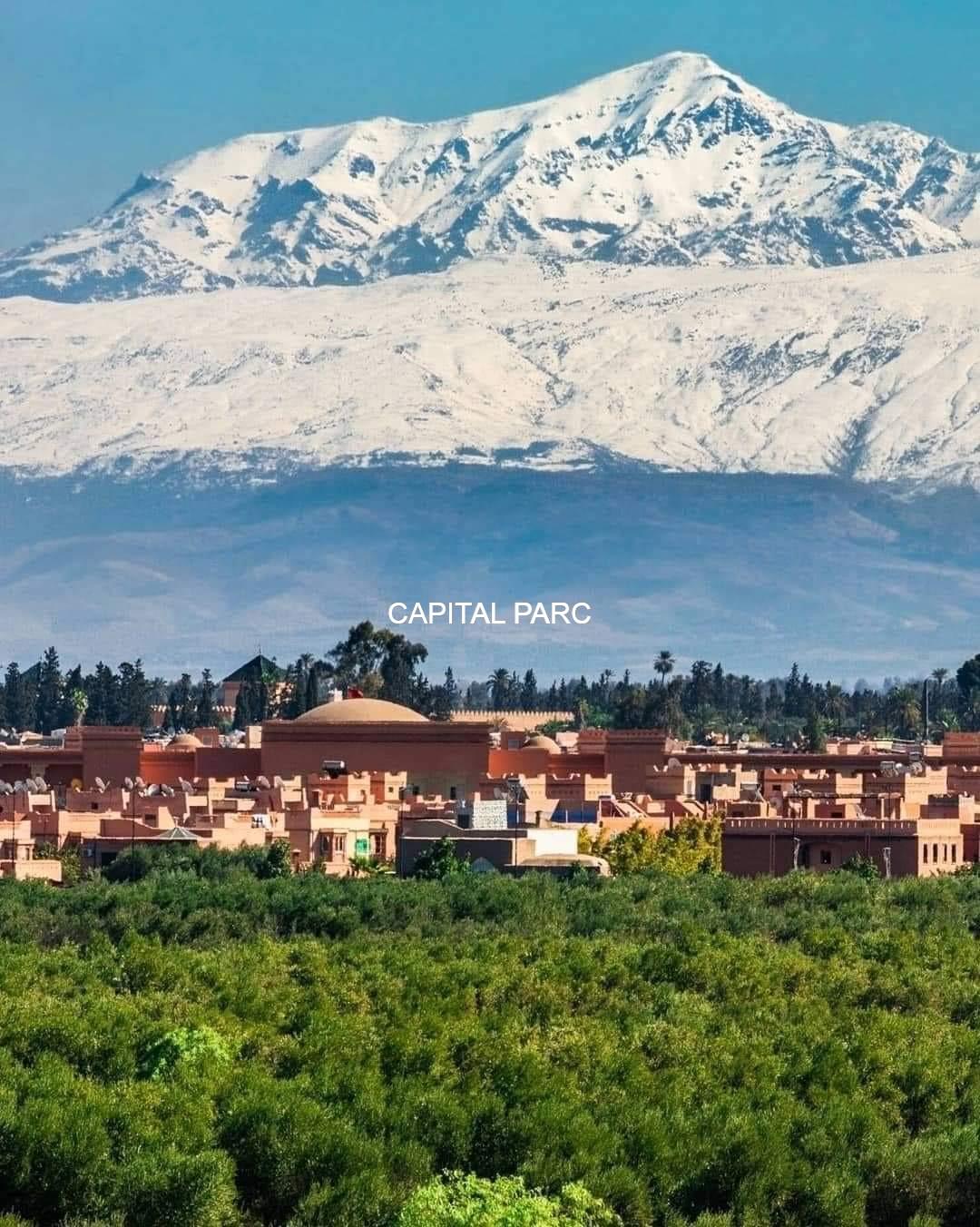 capitalparc_vente-terrain-151-ha_32749