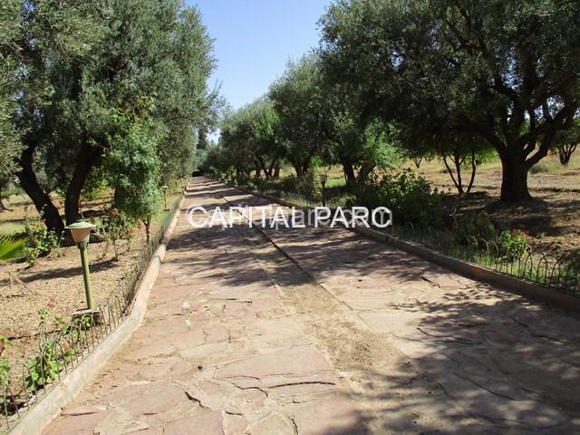 cc7a7c28 f93c 4d30 a6b9 4a1ad95e52f8