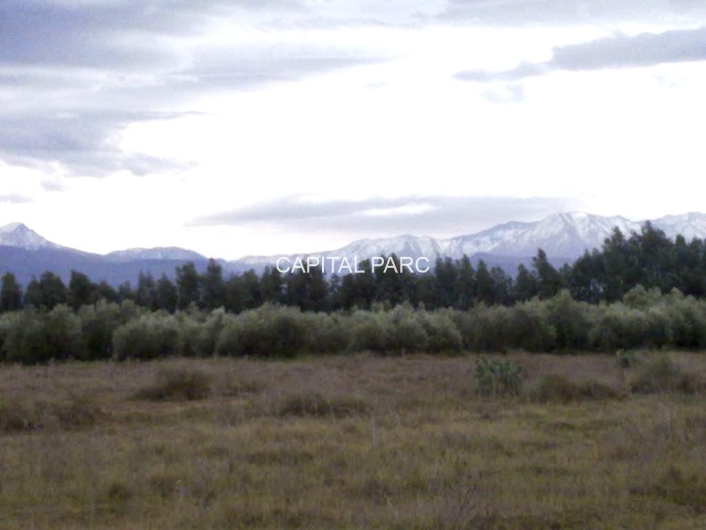 f6378c4b 4f98 4987 8ba6 2e6dece982ef