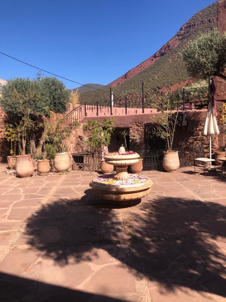 19b096d6 3a97 42d0 afdb 0f4e78284954