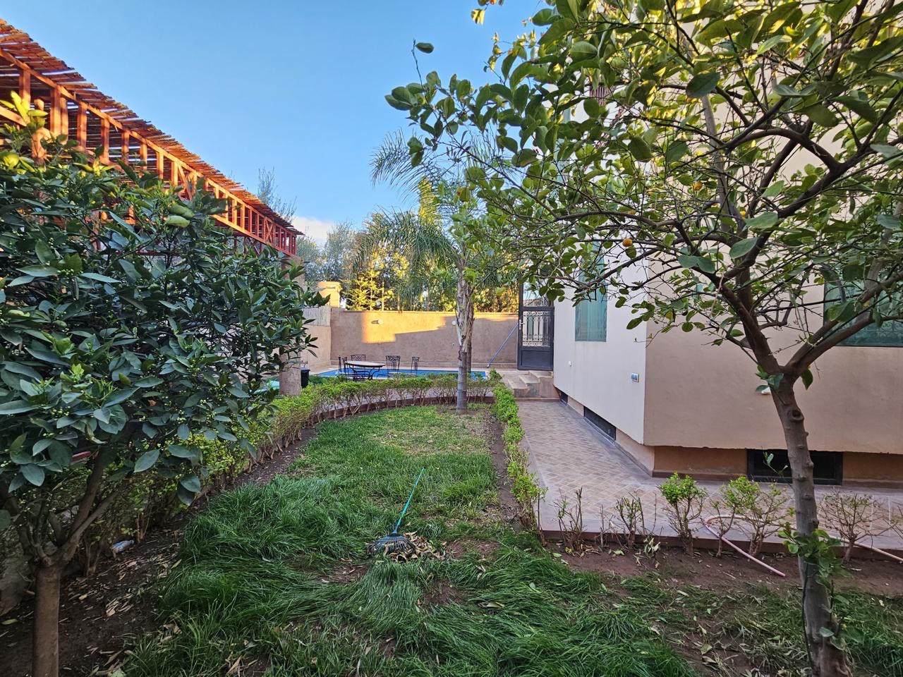 58e7ae53 1168 47d5 b11a 65473e32cb71