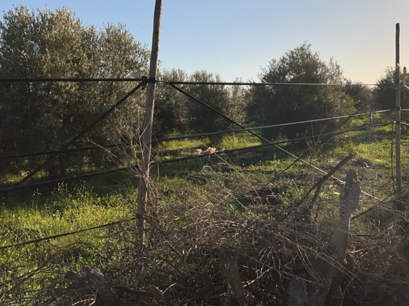 5e2dab8c 48de 44a3 8700 49355859aa4e